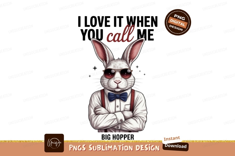 Rabbit Clipart Image 18