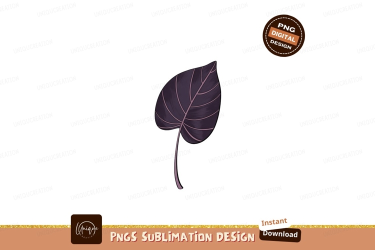Leaf Clipart Image 23
