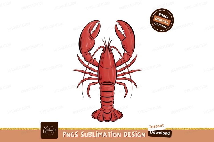 Lobster Illustration Image 22