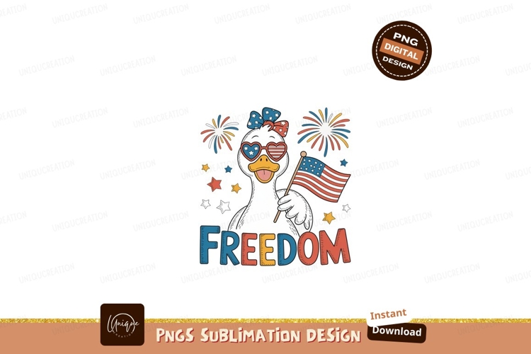 Fireworks Clipart Image 14