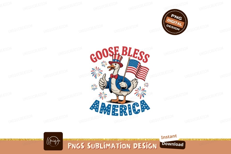 Fireworks Clipart Image 13