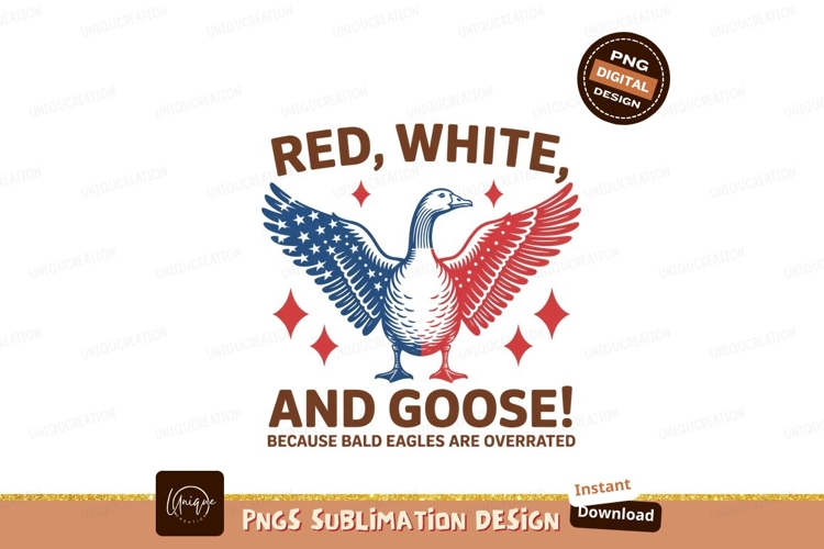 Goose Illustration Image 15