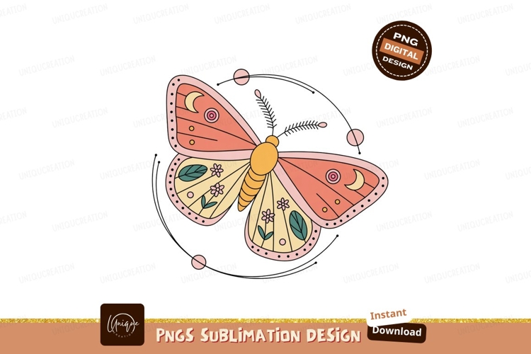 Insect Illustration Image 24