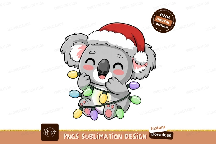 Cute Koala Pictures Image 11