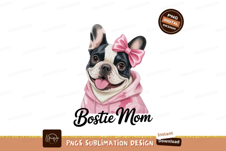 Bow Clipart Image 13