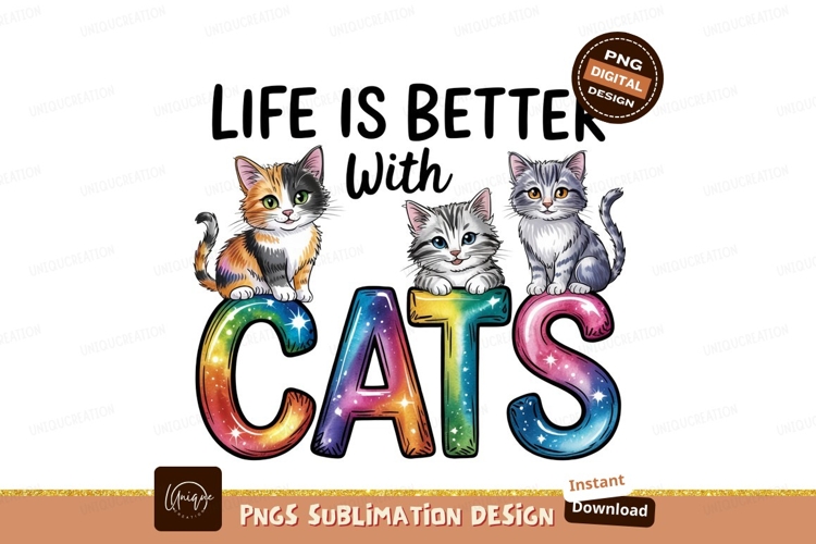 Kitten Png