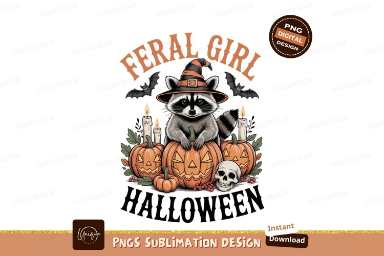 Raccoon Clipart Image 3