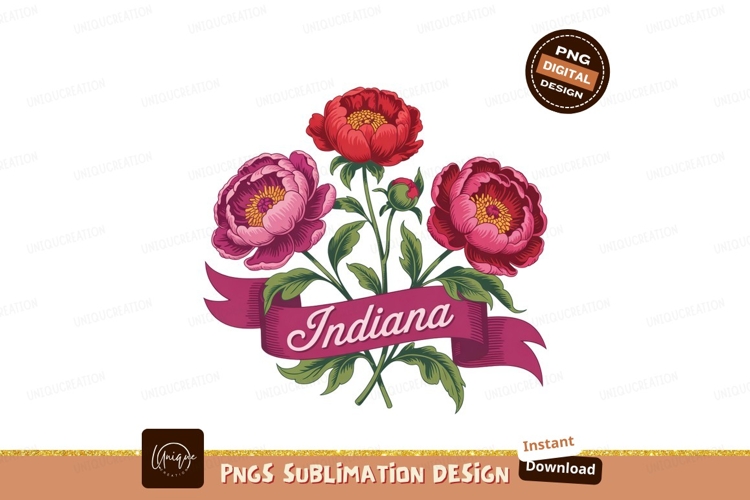 Ribbon Clipart Image 2