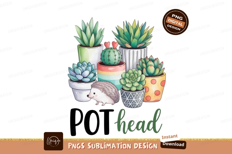 Cactus Clipart Image 11