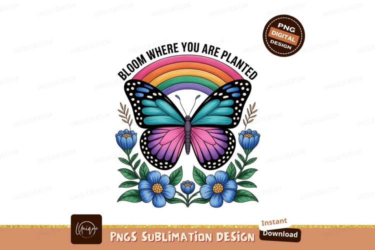Colorful butterfly rainbow flowers blue pink
