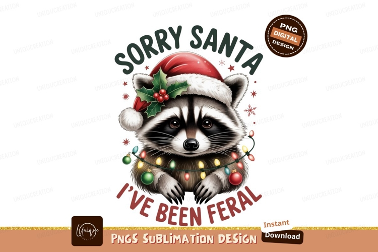 Raccoon Clipart Image 6