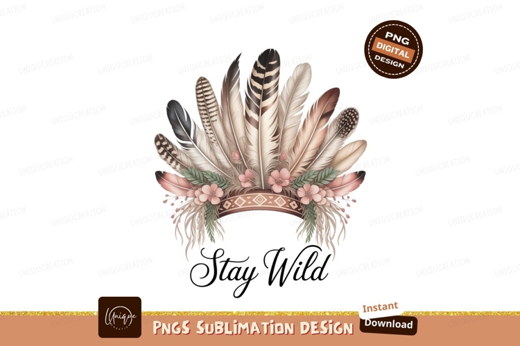 Feathers Clipart Image 16