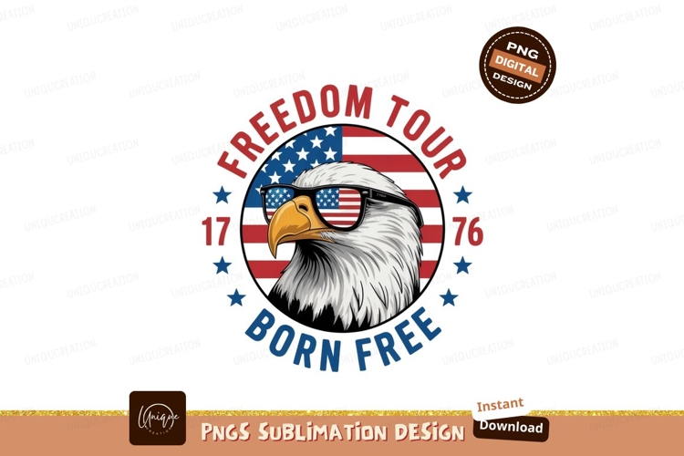 Eagle Clipart Image 17