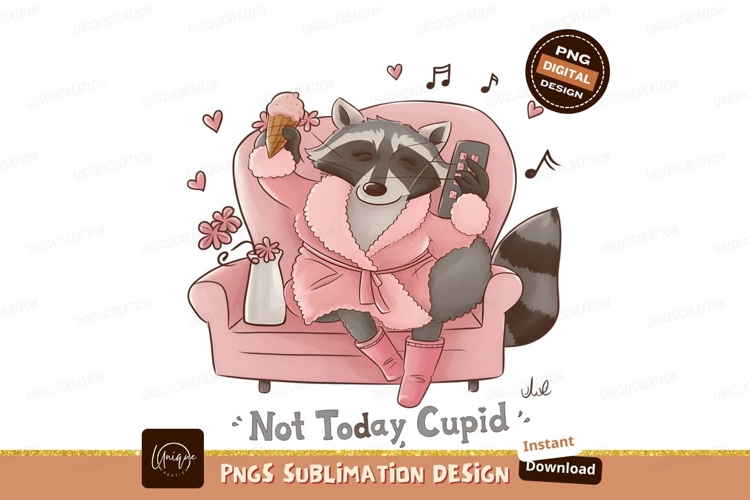Raccoon Clipart Image 9