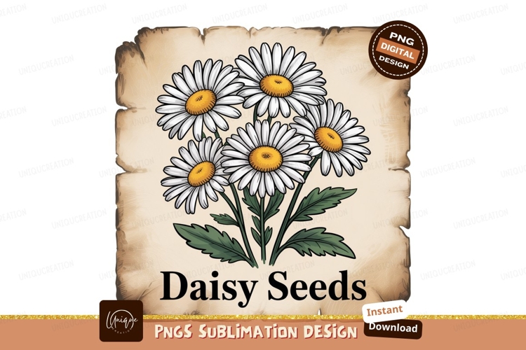Daisies Clipart Image 15