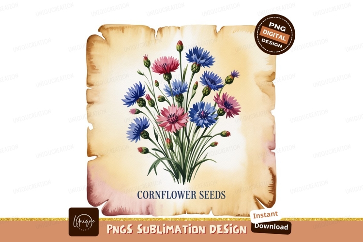 Blue pink cornflowers watercolor floral