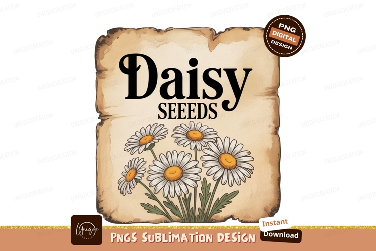Daisy seeds floral illustration flowers nature