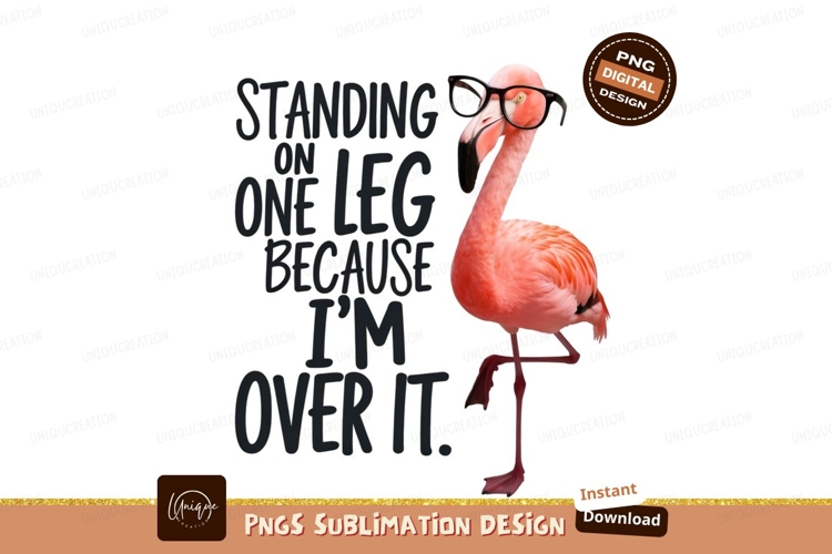 Flamingo Clipart Image 14