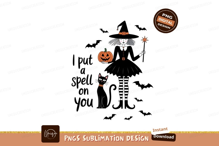 Raccoon Clipart Image 24