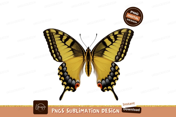 Butterfly Clipart Image 17