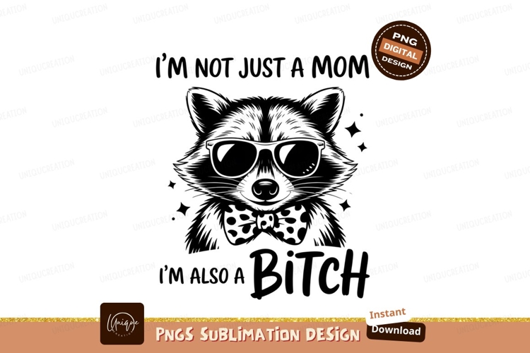 Raccoon Clipart Image 16