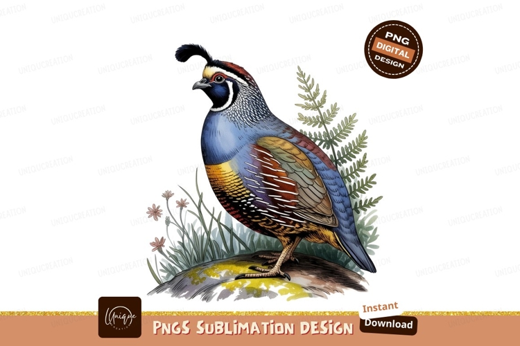 Quail Clipart
