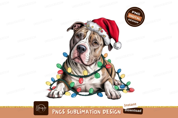 Pitbull Png Image 12