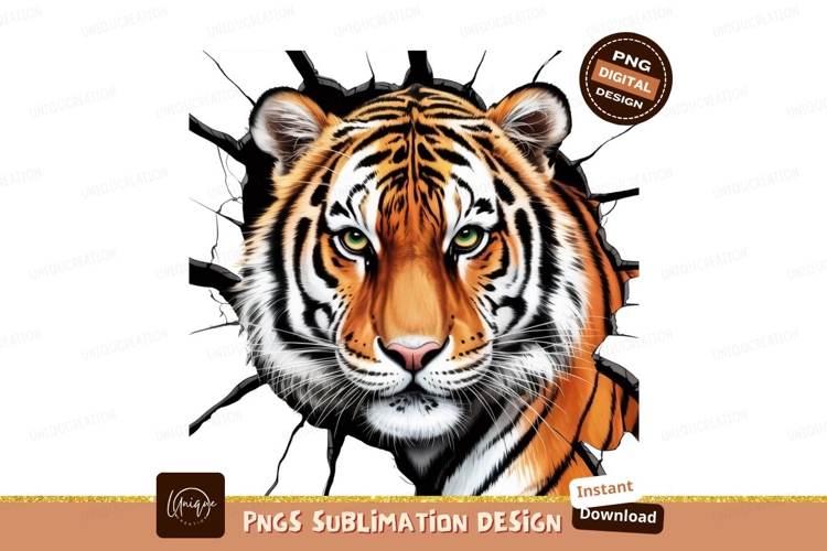 Tiger Clipart Image 18