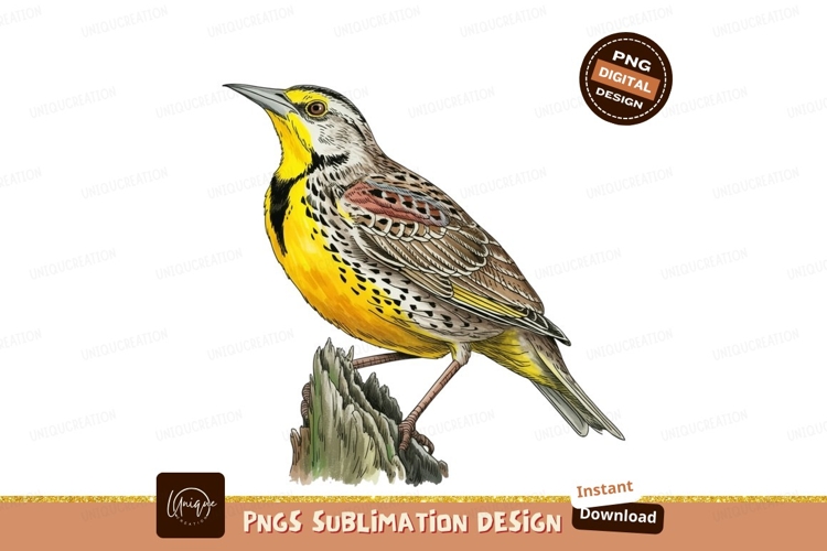 Nature Png Image 3