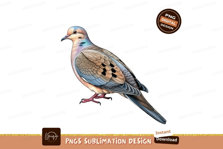 Mourning dove isolated on transparent background sublimation