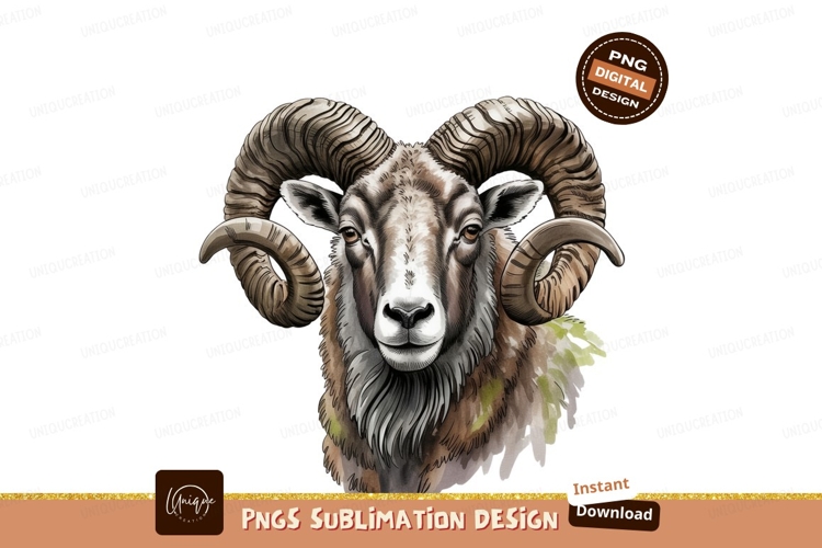 Ram Horns Drawing Image 4