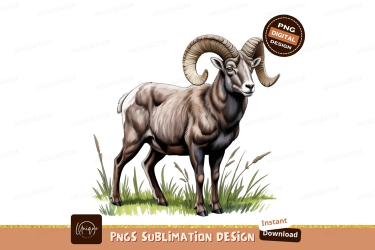 Grass Background Image 5