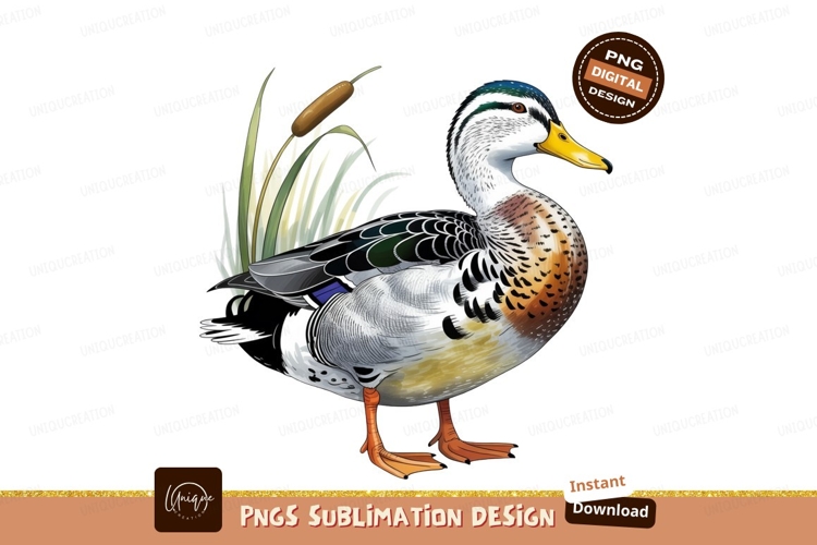 Duck Clipart Image 8