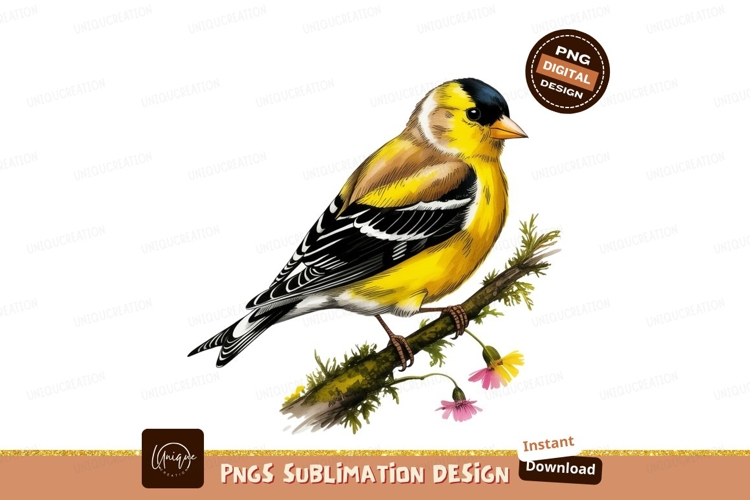 Yellow Clipart Image 14
