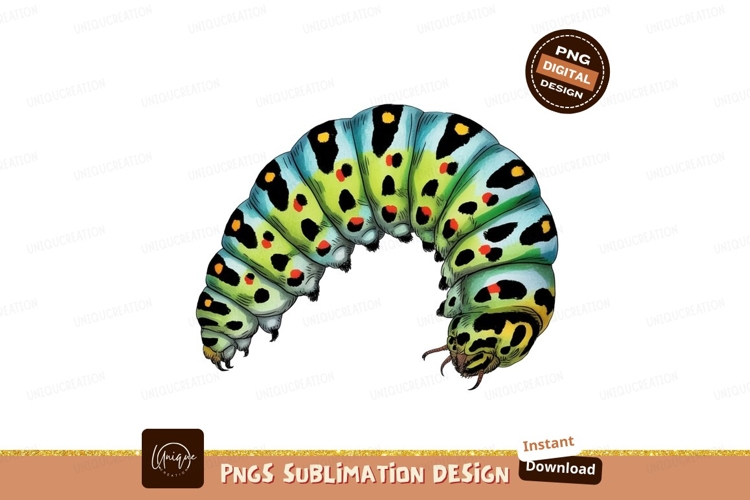 Bug Illustration Image 18