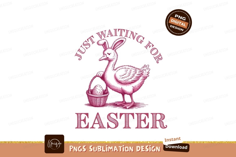 Duck Clipart Image 8