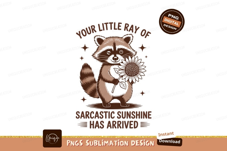 Raccoon Clipart Image 3