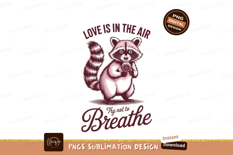 Raccoon Clipart Image 17
