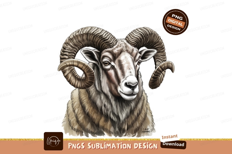 Ram Horns Drawing Image 5