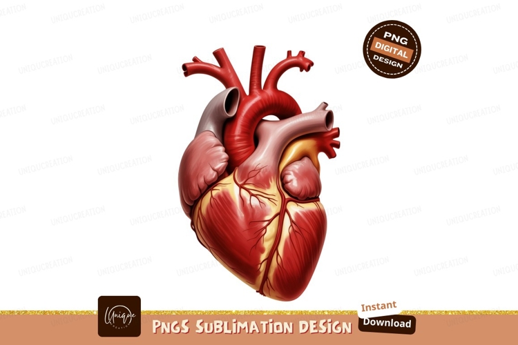 Heart Clipart Image 13