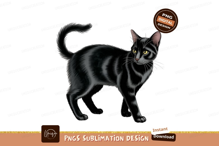 Cat Clipart Image 14