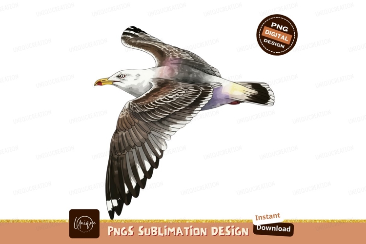 Seagull Illustration Image 20