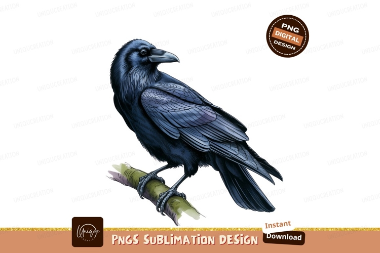 Raven Png Image 16