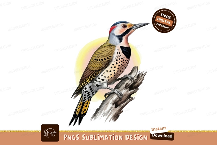 Feather Clipart Image 11