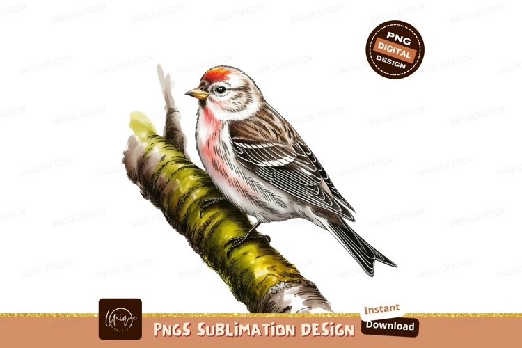 Feather Clipart Image 10