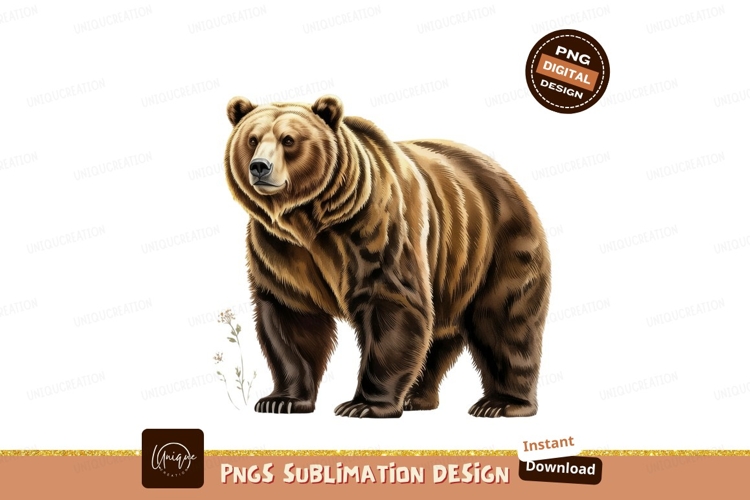 Bear Clipart Image 18