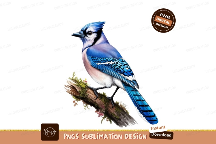 Blue jay on branch isolated on transparent background sublim
