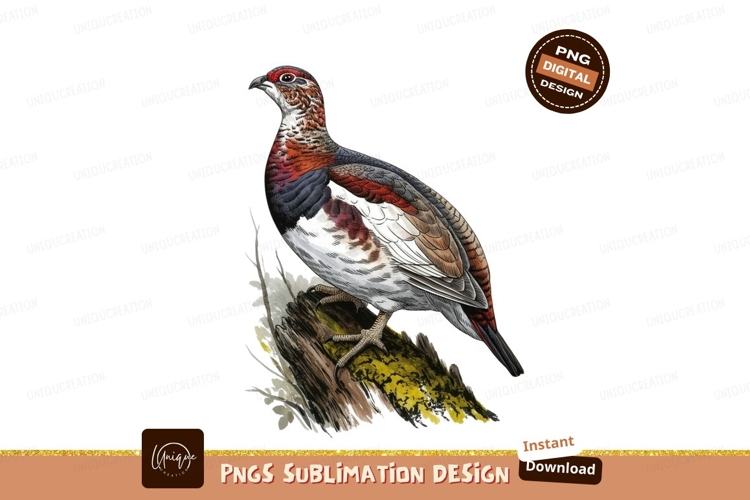 Feather Clipart Image 7
