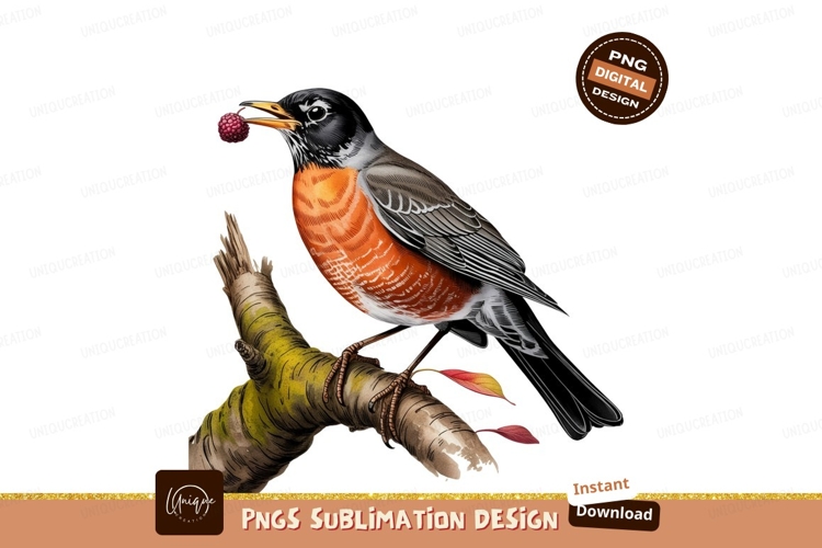 Robin Clipart Image 2