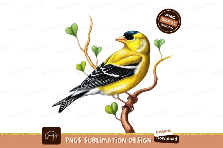Bird PNG Image 21